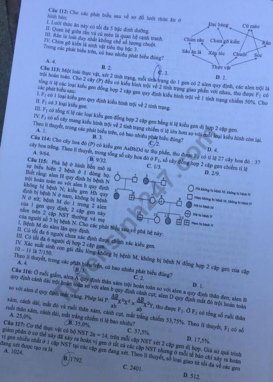 de-thi-va-dap-an-mon-sinh-thpt-quoc-gia-2019-ma-de-220