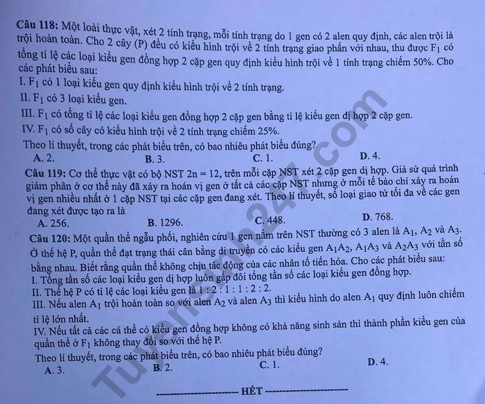 Đề thi và đáp án môn Sinh THPT quốc gia 2019 mã đề 221