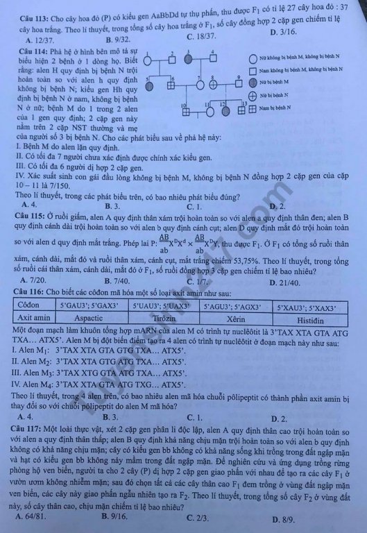 de-thi-va-dap-an-mon-sinh-thpt-quoc-gia-2019-ma-de-221