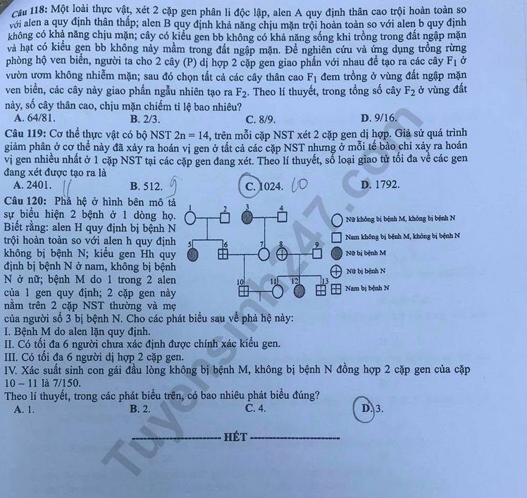 Đề thi và đáp án môn Sinh THPT quốc gia 2019 mã đề 222