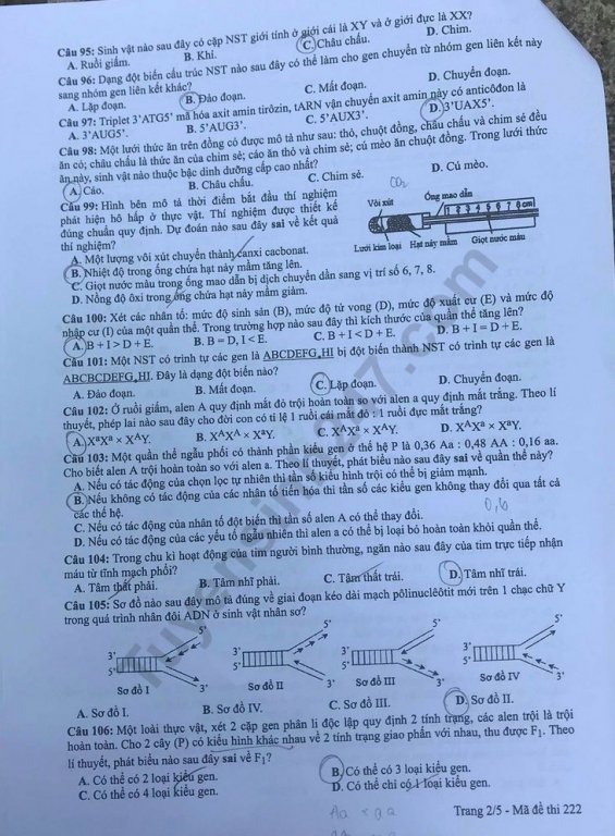 de-thi-va-dap-an-mon-sinh-thpt-quoc-gia-2019-ma-de-222