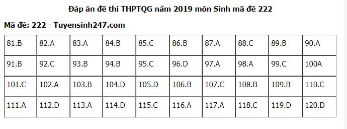 Đề thi và đáp án môn Sinh THPT quốc gia 2019 mã đề 222