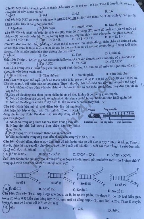 de-thi-va-dap-an-mon-sinh-thpt-quoc-gia-2019-ma-de-223