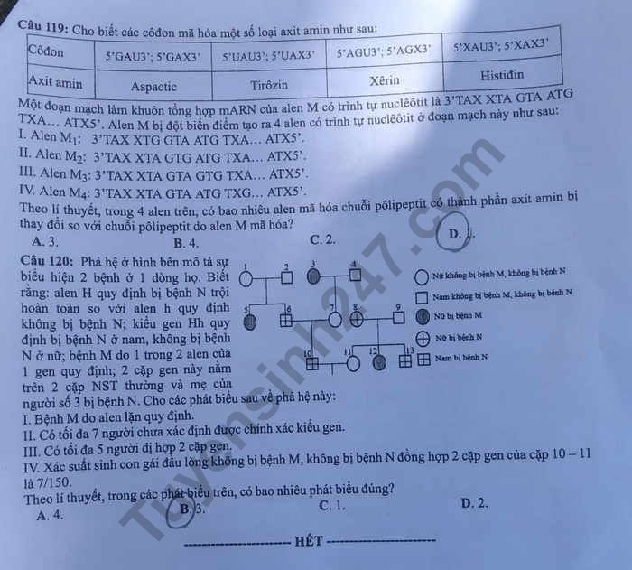 Đề thi và đáp án môn Sinh THPT quốc gia 2019 mã đề 223