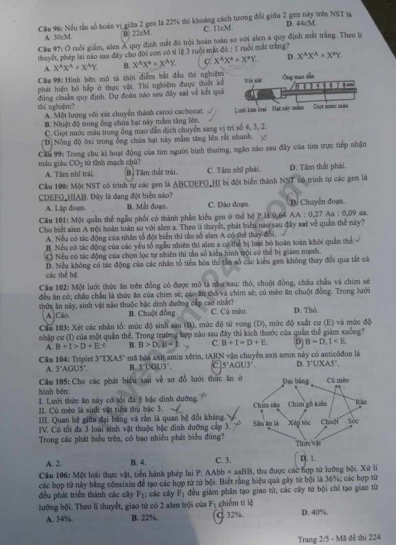 de-thi-va-dap-an-mon-sinh-thpt-quoc-gia-2019-ma-de-224