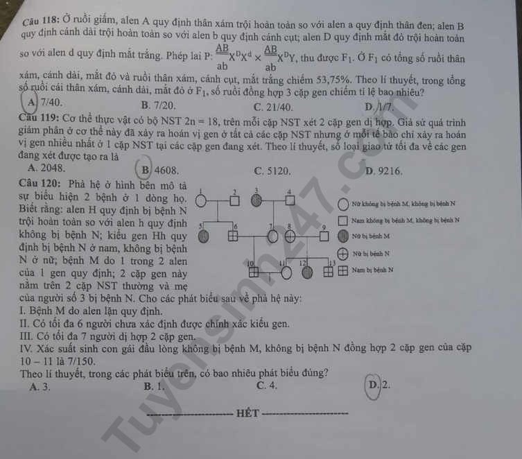 Đề thi và đáp án môn Sinh THPT quốc gia 2019 mã đề 224