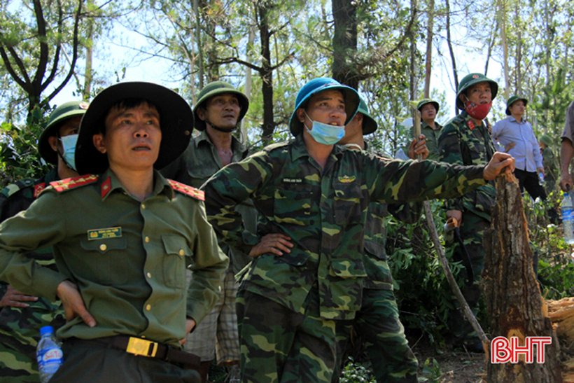 bien-lua-da-nuot-tron-50ha-rung-thong-tai-ha-tinh