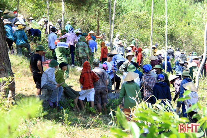 bien-lua-da-nuot-tron-50ha-rung-thong-tai-ha-tinh