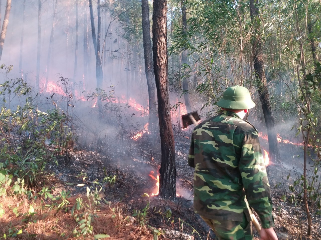 duong-day-500kv-doan-da-nang-ha-tinh-da-duoc-khac-phuc-sau-vu-chay-rung