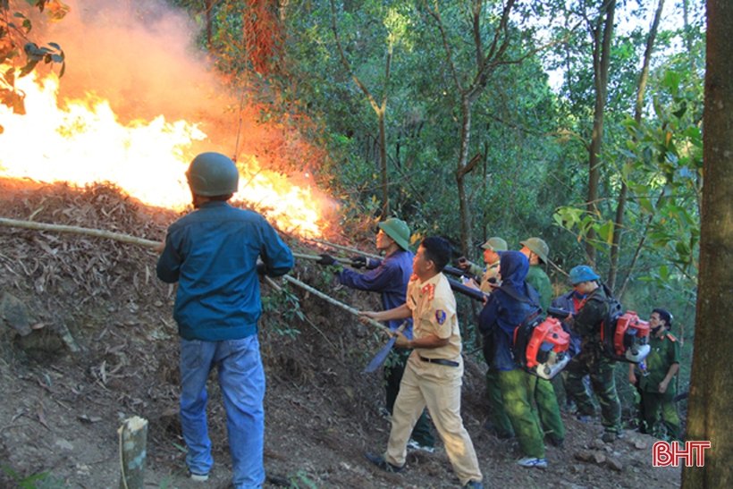 video-bien-lua-nuot-tron-canh-rung-to-chuc-di-doi-hang-tram-ho-dan-tai-ha-tinh