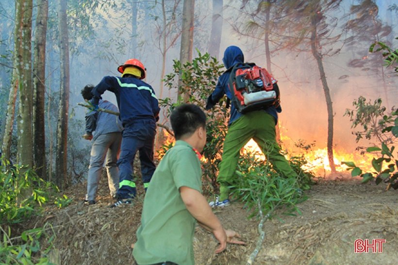 video-bien-lua-nuot-tron-rung-thong-hang-tram-ho-dan-tai-ha-tinh-phai-di-doi