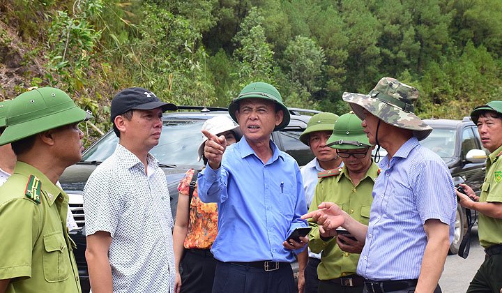 thua-thien-hue-xay-ra-hang-chuc-vu-chay-thieu-rui-gan-119ha
