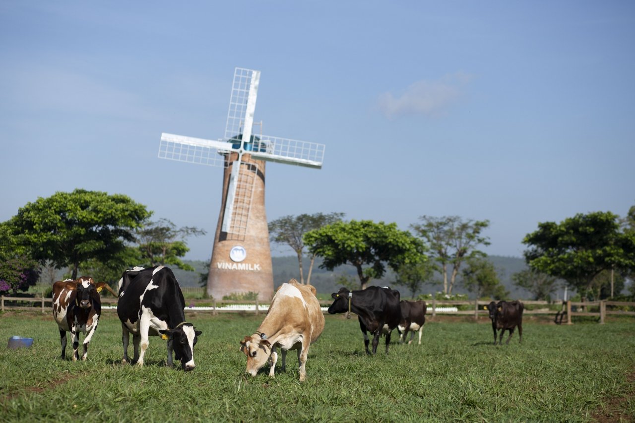 vinamilk-la-dai-dien-duy-nhat-cua-chau-a-trinh-bay-ve-xu-huong-organic-tai-hoi-nghi-sua-toan-cau-2019
