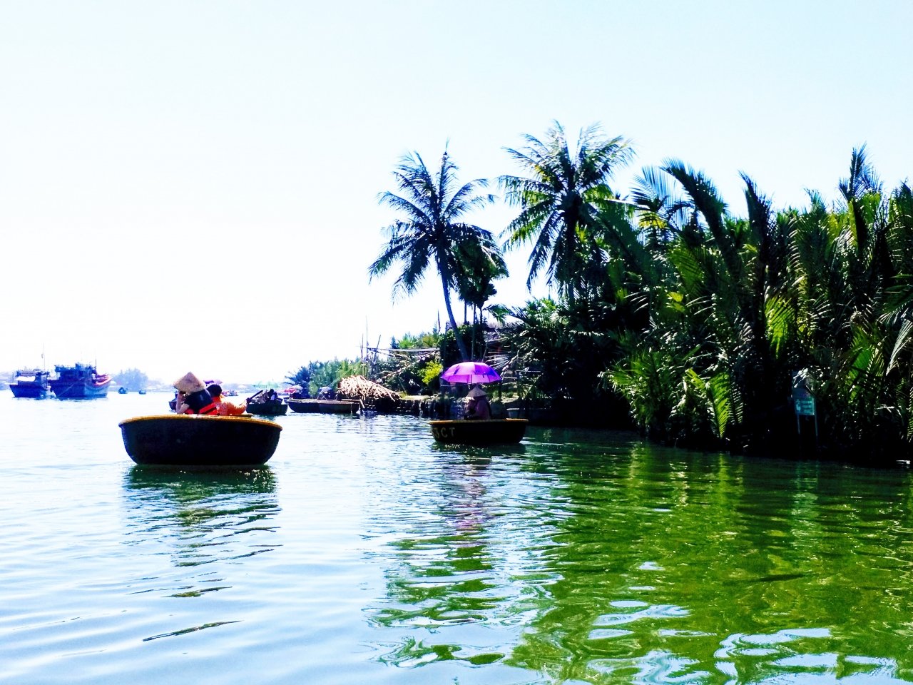 lac-lu-tren-chiec-thuyen-thung-dao-choi-rung-dua-bay-mau