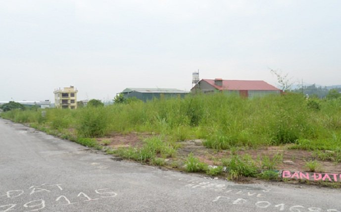 dung-tat-ca-giao-dich-voi-cong-ty-cp-xay-dung-so-1-ha-noi-do-cham-tien-do-kdt-cao-xanh-ha-khanh-b
