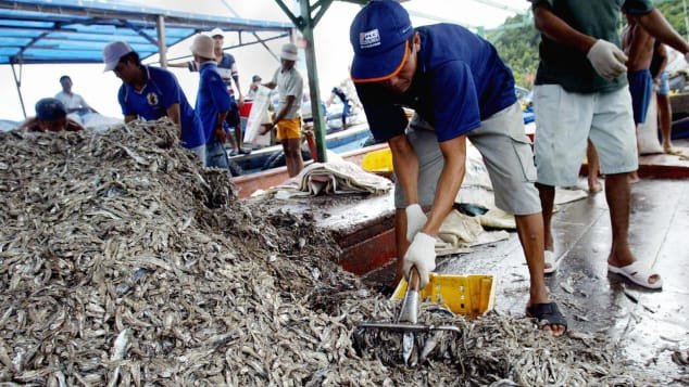 cnn-goi-y-cach-an-choi-o-phu-quoc-dao-du-lich-hang-dau-viet-nam