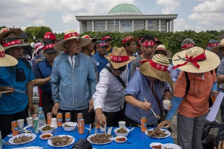 han-quoc-bieu-tinh-doi-cam-thit-cho-chu-lo-mo-mo-tiec-ben-canh