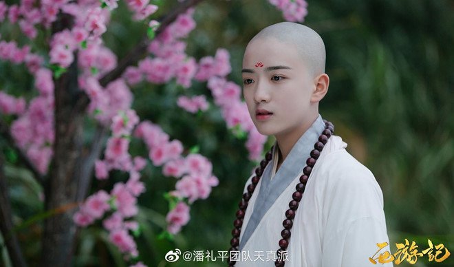 su_phu22.jpg