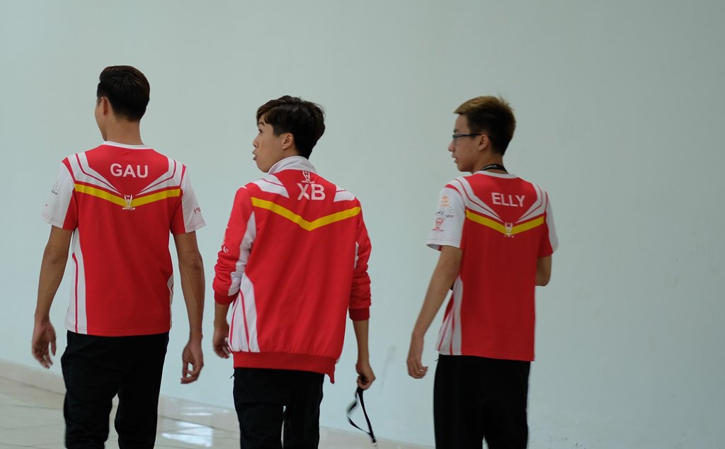 Ha Dai Bac nghet tho, eSport Viet Nam lan dau vo dich the gioi hinh anh 9 