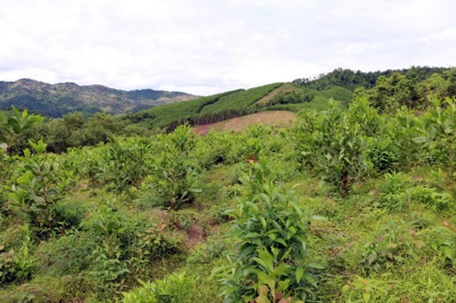 du-an-dien-mat-troi-do-xo-ve-ha-tinh-lanh-dao-tinh-ban-khoan-that-su-rat-kho-hieu