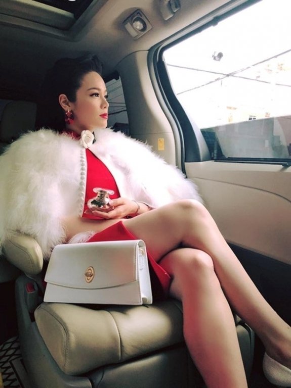 Ngoài mỹ phẩm, Nhật Kim Anh còn tiếp tục mở thêm công ty yến sào. Ngoài ra, nữ ca sĩ cũng sở hữu chiếc xế hộp có nội thất tiện nghi, sang trọng để tiện cho việc đi lại.
