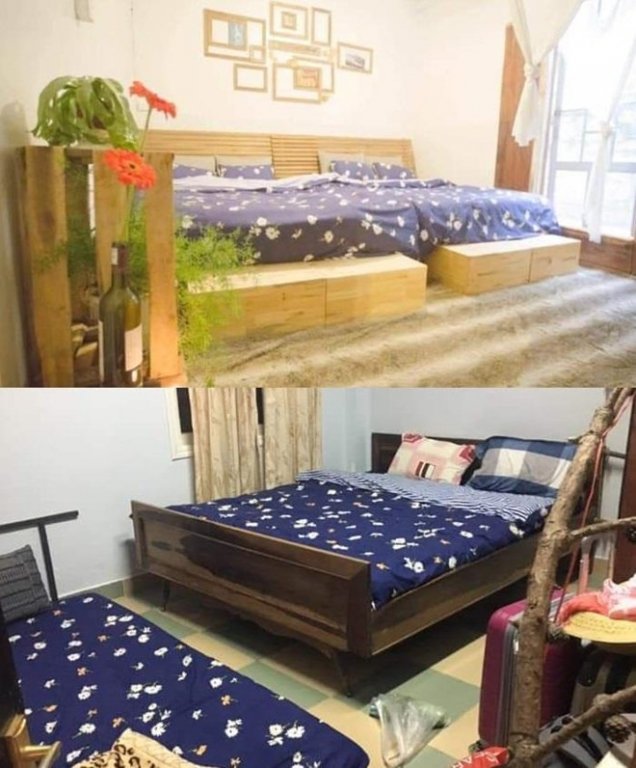 Du khach to homestay Da Lat lua dao, phong nhu o chuot hinh anh 2 