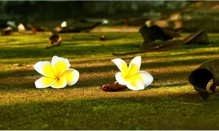trong-doi-co-3-viec-khong-nen-nghi-3-viec-khong-nen-giup