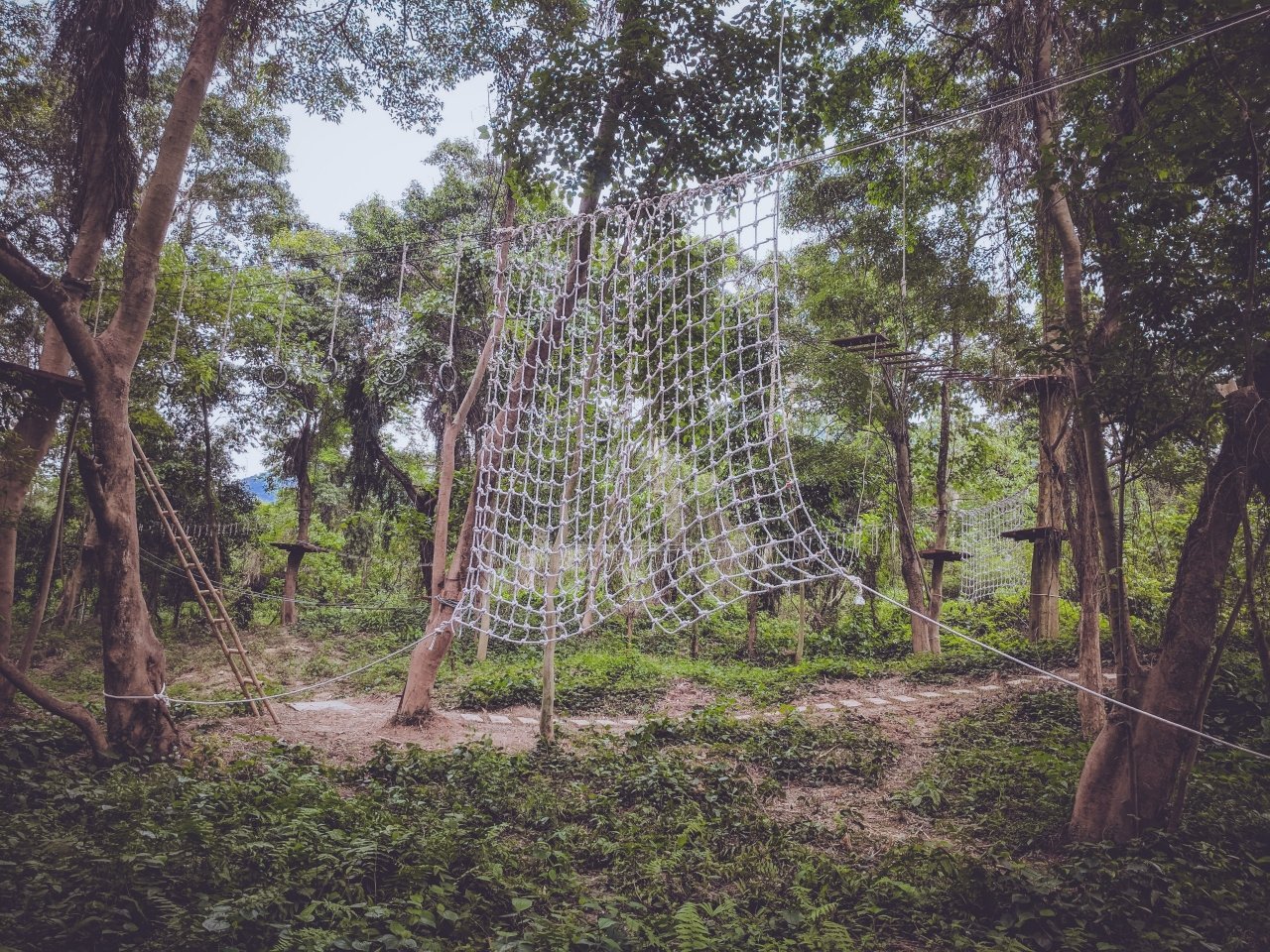 tan-chay-cung-cong-vien-du-thu-de-choi-o-quang-binh