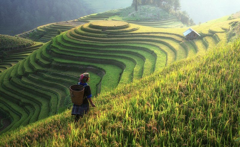 7-dia-diem-du-lich-o-viet-nam-nhat-dinh-phai-den