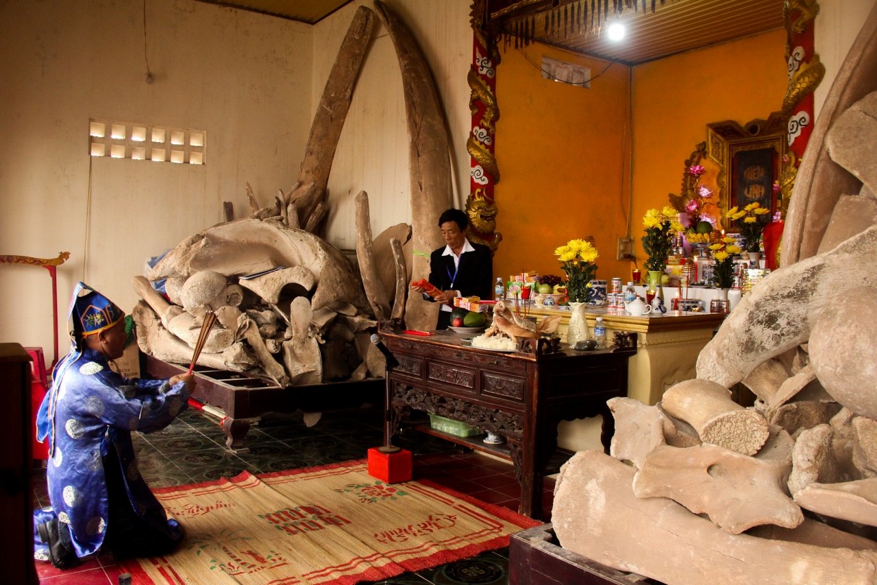 ghe-lang-canh-duong-xem-con-duong-bich-hoa
