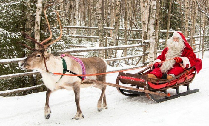 Tại sao ông già Noel dùng tuần lộc kéo xe?