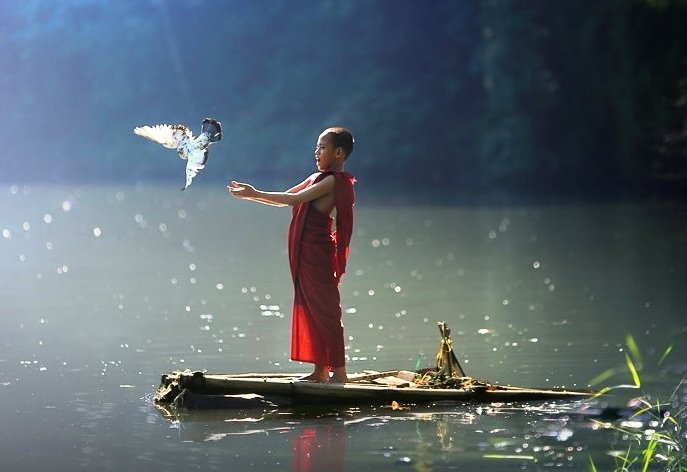 quy-luat-cuoc-doi-ban-chi-can-luong-thien-troi-xanh-se-tu-co-an-bai