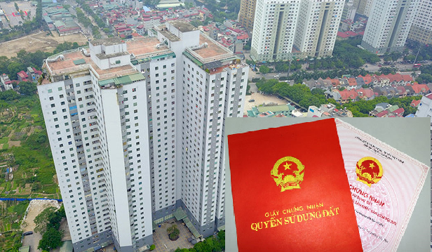vu-thu-hoi-so-do-tai-chung-cu-ong-le-thanh-than-kien-chu-dau-tu-hay-co-quan-cap-phep