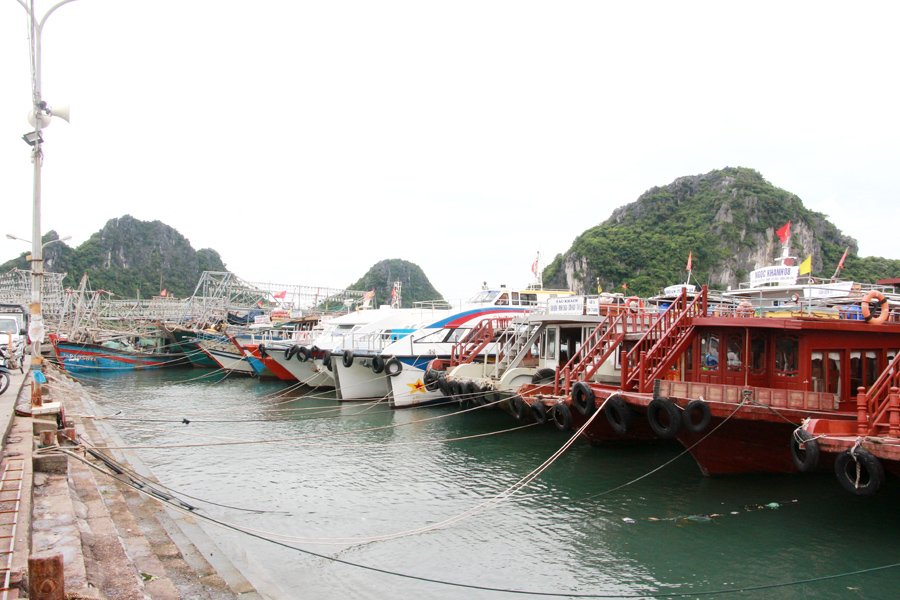 quang-ninh-gap-rut-chuan-bi-ung-pho-bao-so-3