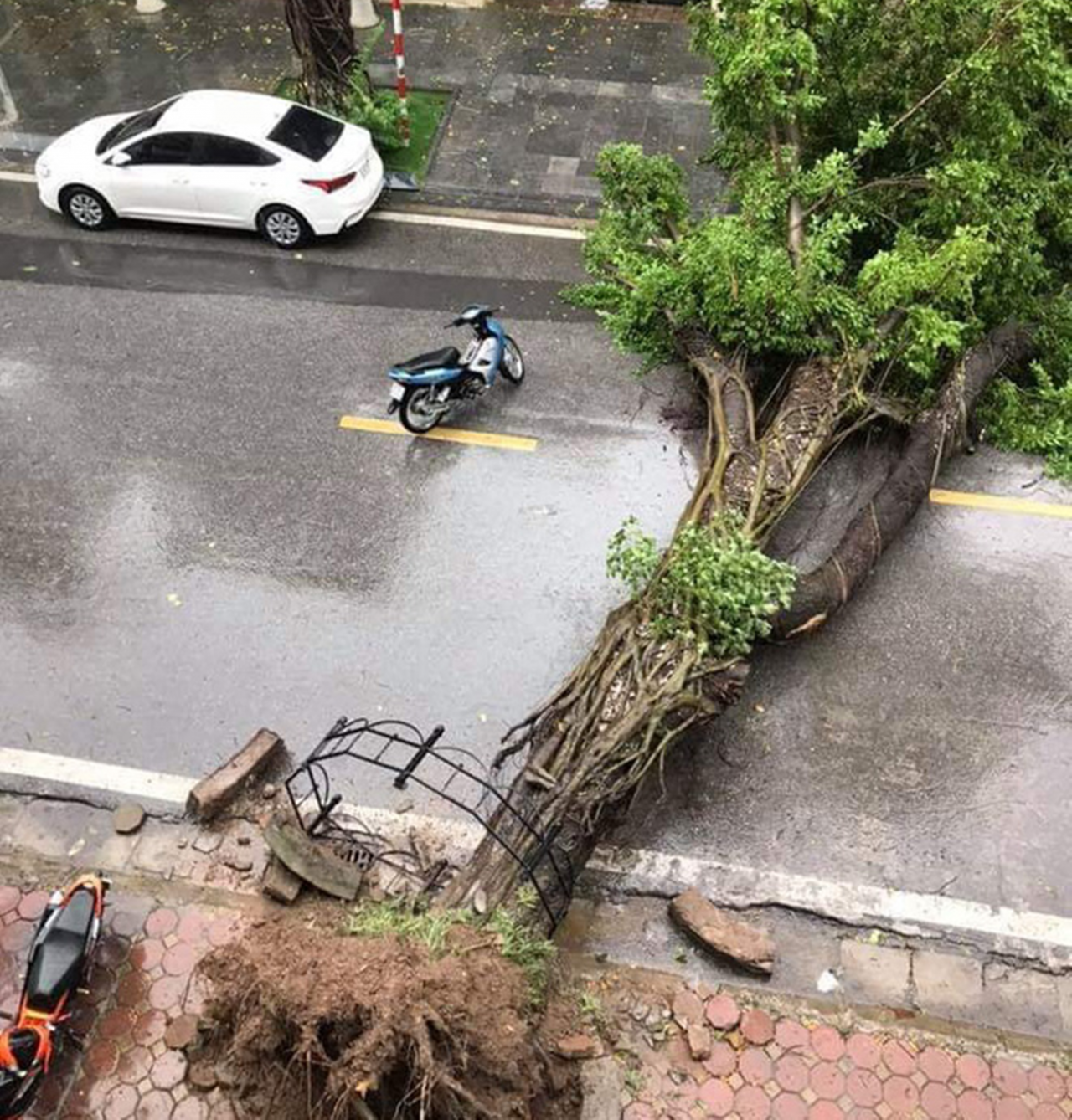 Cây xanh gãy đổ chắn ngang đường Tô Hiến Thành. (Ảnh: Otofun).