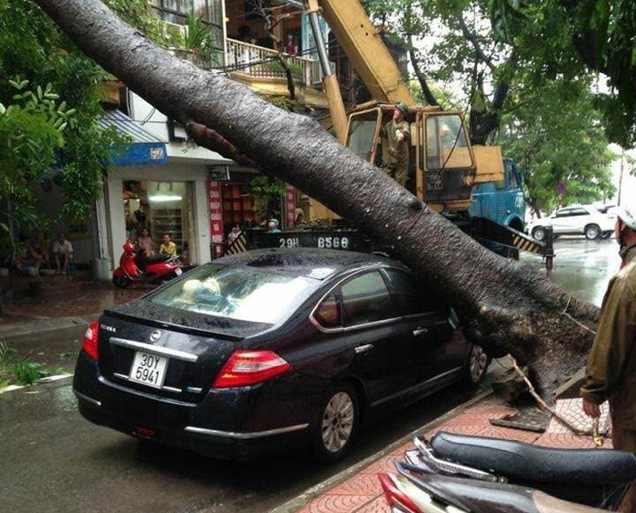 Nhiều xế hộp bị cây xanh đè vào gây hư hại.