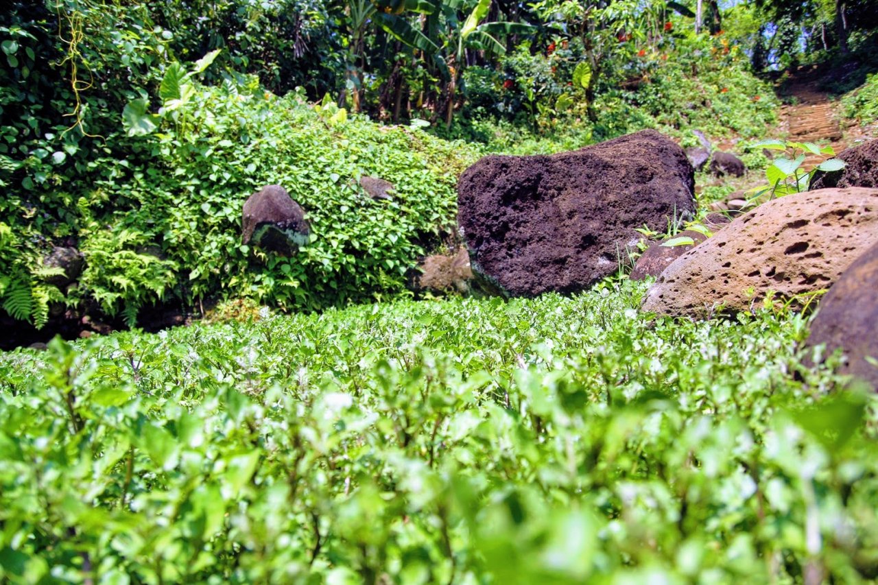den-quang-tri-kham-pha-he-thong-gieng-co-nghin-nam-chua-bao-gio-can