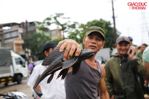 ha-noi-sau-bao-so-3-nguoi-dan-mang-vo-ra-song-kim-nguu-bat-ca