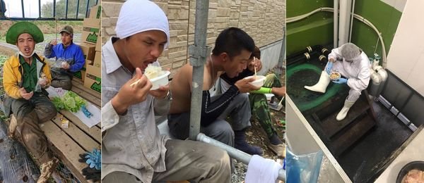 Không có bàn ăn cũng chẳng có mâm cơm với đủ món rau thịt, mỗi người chỉ cầm một hộp cơm, vạ đâu ngồi đấy nhanh chóng thưởng thức bữa trưa của mình. Nhưng có lẽ rằng, tuy là bữa trưa nhưng đôi khi phải mãi qua chiều họ mới được nghỉ tay mà ăn uống.
