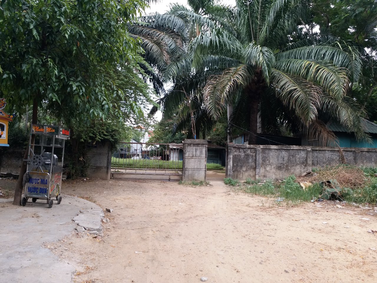cong-vien-trong-thanh-pho-hoang-vang-dan-khong-man-ma-den-vui-choi
