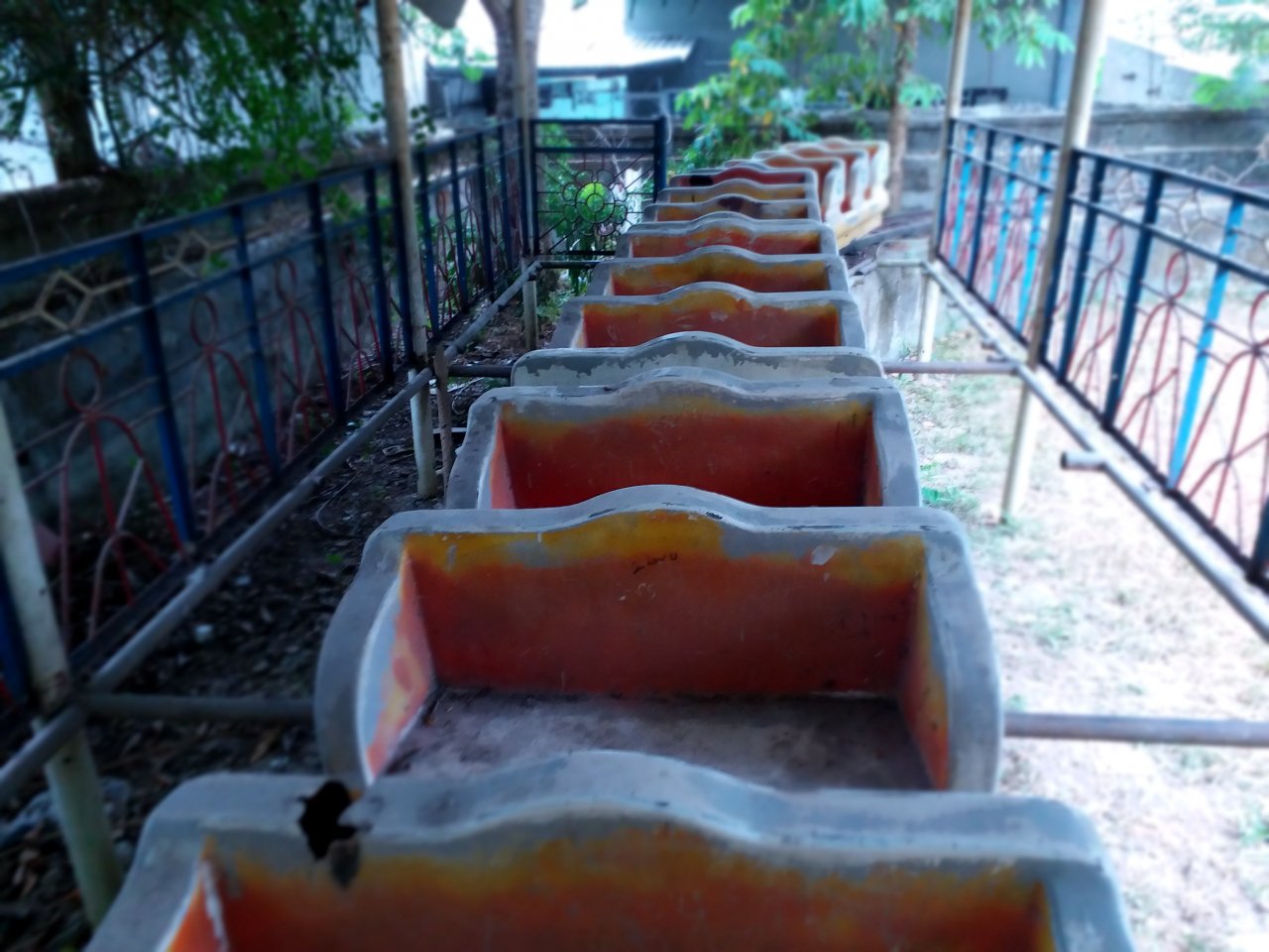 cong-vien-trong-thanh-pho-hoang-vang-dan-khong-man-ma-den-vui-choi
