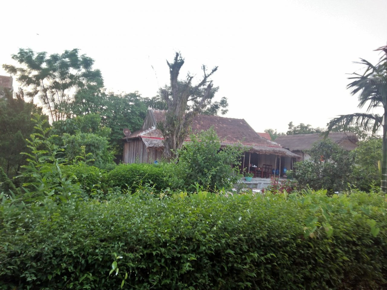 ghe-tham-nha-vi-tuong-kiet-xuat-cua-nhan-loai