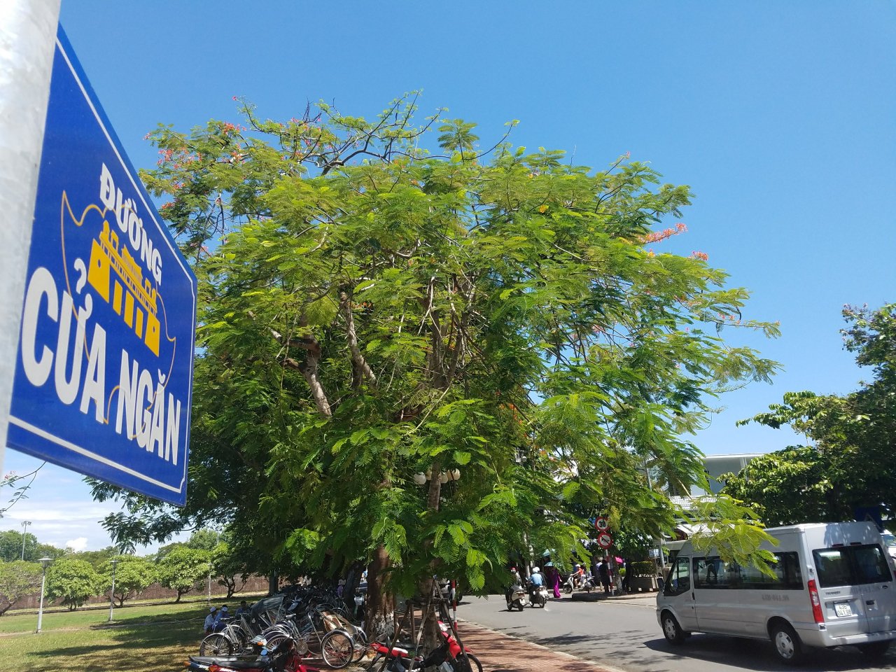 thua-thien-hue-thi-diem-cam-o-to-tren-9-cho-luu-thong-ra-vao-duong-cua-ngan