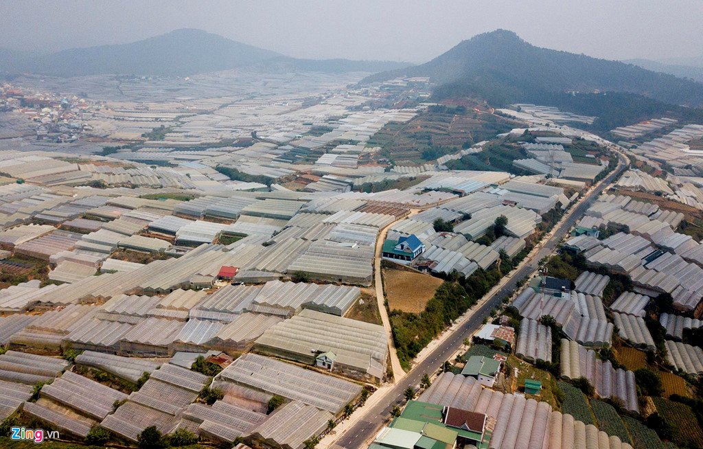 nha_kinh_dl_1_zing_1.jpg