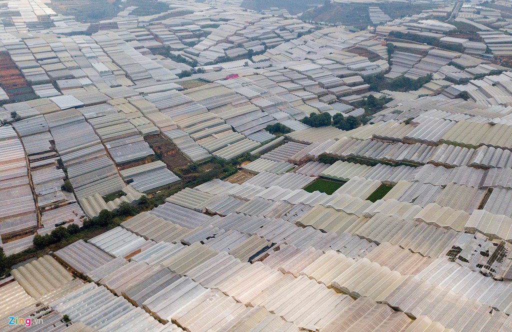 nha_kinh_dl_14_zing_1.jpg