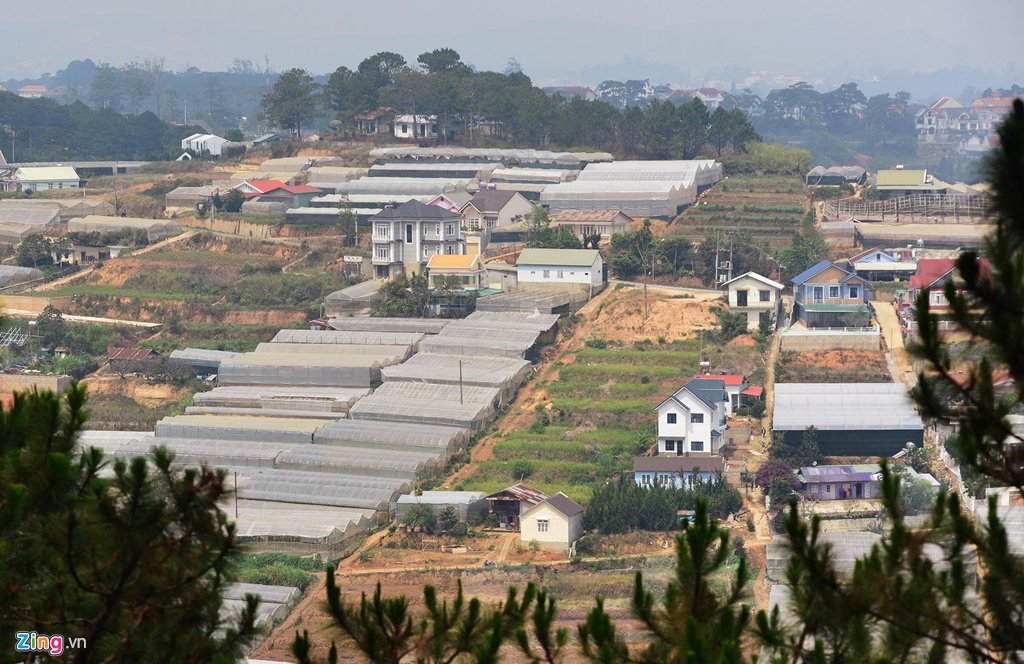 nha_kinh_dl_8_zing_2.JPG