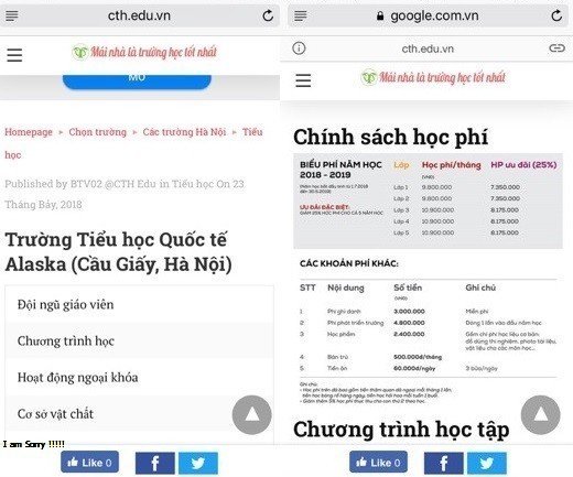 Mức học phí tại Trường tiểu học Quốc tế Alaska vô cùng đắt đỏ. (Ảnh: Chụp màn hình).