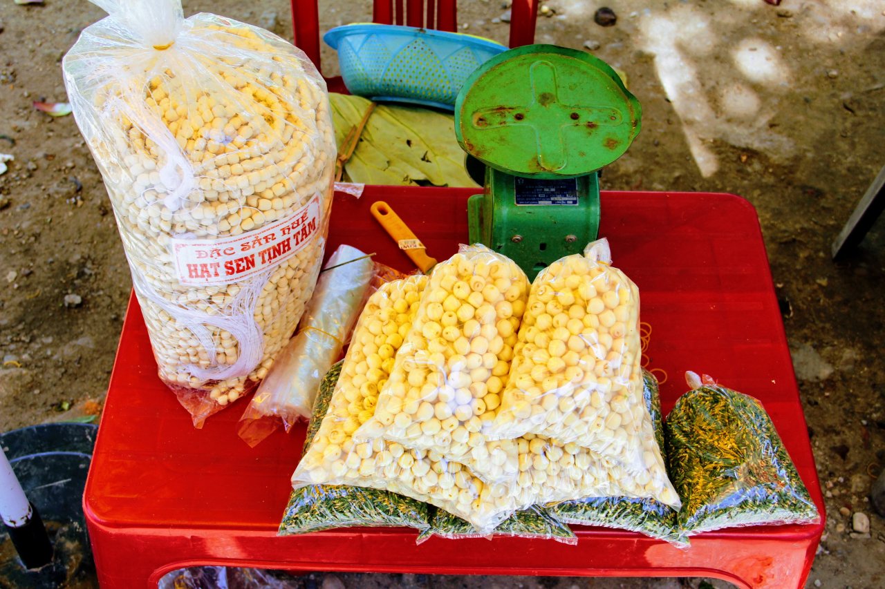 ghe-tham-noi-tao-cam-hung-cho-cac-vua-nguyen-lam-tho