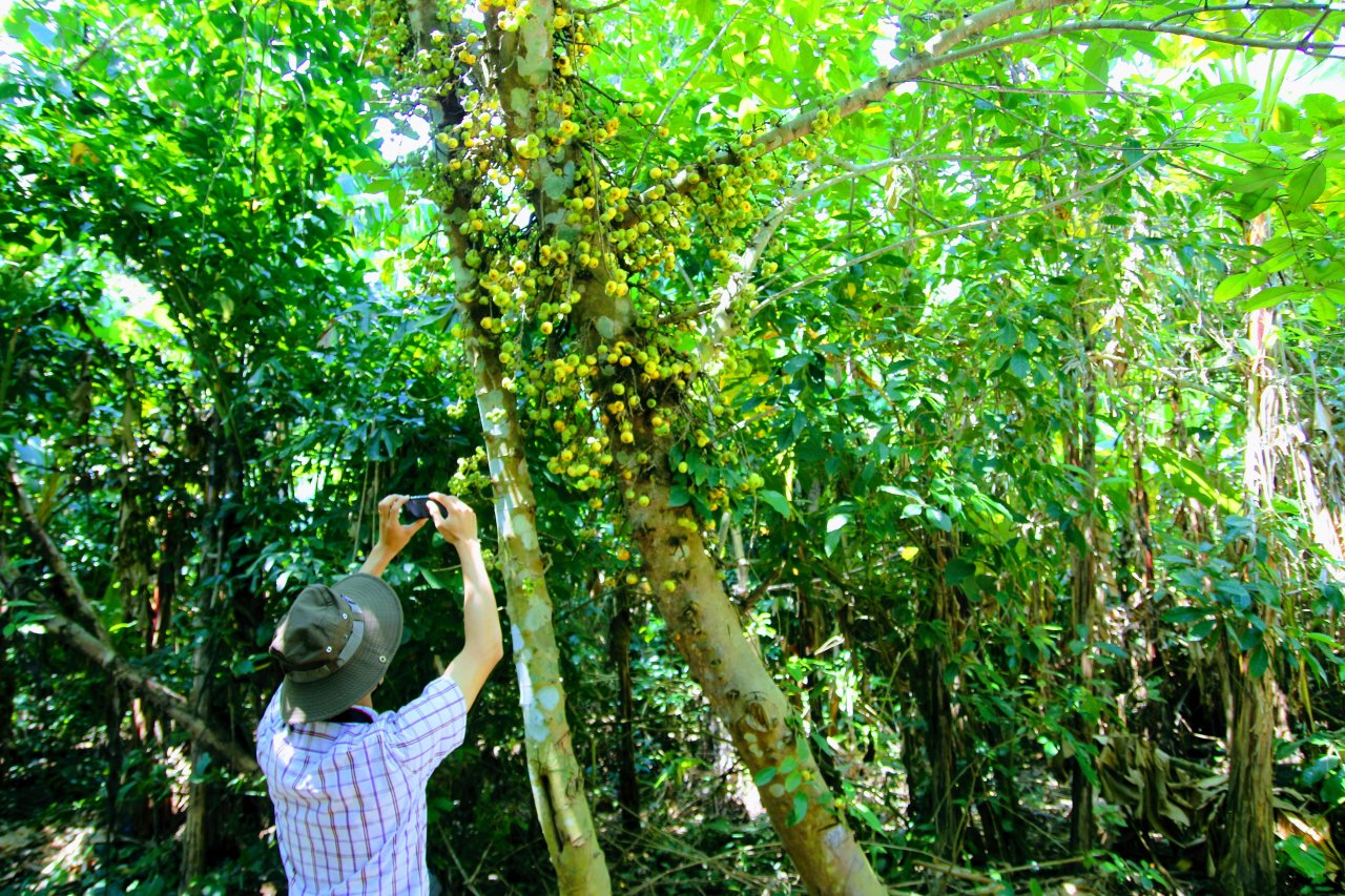 kham-pha-hon-ngoc-xanh-lap-lanh-giua-bien-dong