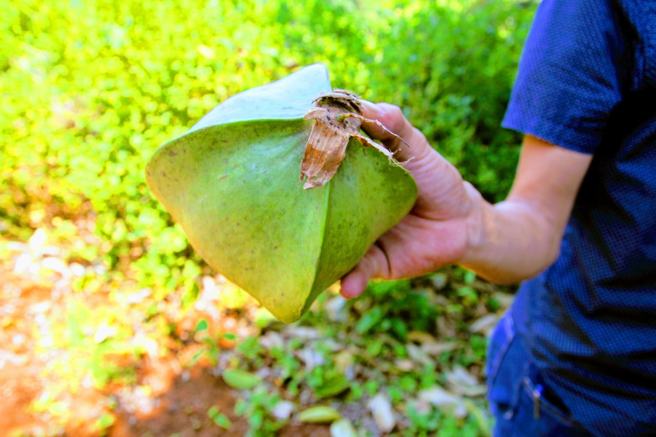 kham-pha-hon-ngoc-xanh-lap-lanh-giua-bien-dong